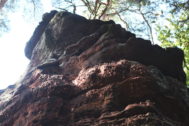 Randonnée vosges grottes des amoureux (63) rocher de la guérite