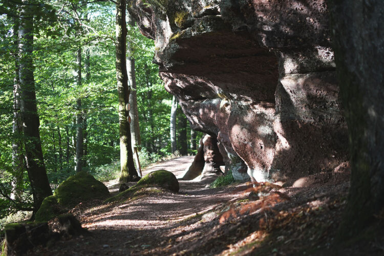 Randonnée vosges grottes des amoureux (79)