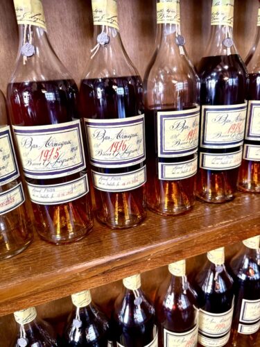 Armagnac le fossile