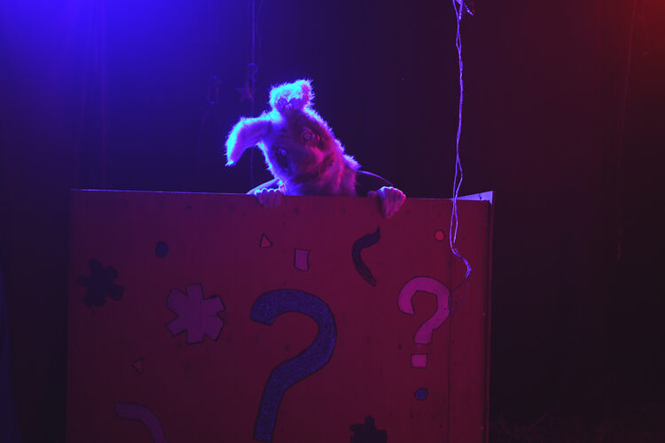 Nuits de phobies ferme maurer halloween horreur cirque  (1)