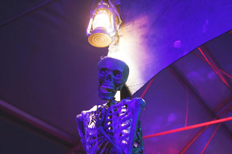 Nuits de phobies ferme maurer halloween horreur cirque  (37)