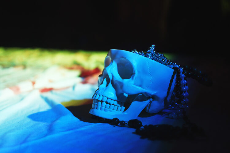 Nuits de phobies ferme maurer halloween horreur cirque  (51)