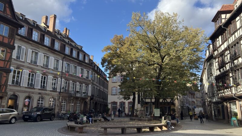Arbre place Saint-Etienne